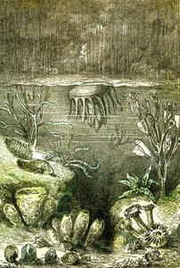 Prehistoire-Terre et Mers: Begynnelsen av den siluriske perioden (J. Rengade. Tegning av Demarle. 1885 av Alphonse Demarle