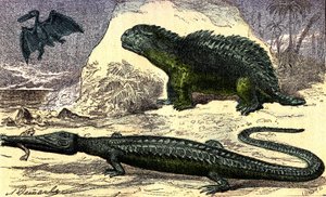 Forhistorie - Juraperioden: Teleosauren og Hyleosauren. Pterodactylen ovenpå. Naturlig skapelse og levende vesener. Tegning av A. Demarle. 1885