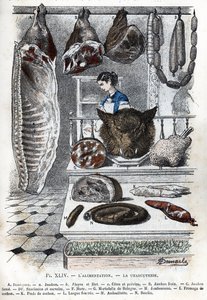 Utsikt over et kjøttpålegg A halvt svinekjøtt (en skinke b aloyau c sider og bryst) B fersk skinke C røkt skinke D pølser og cerevelas F hure G mortadelle de bologna H skinke I gris ost K gris føtter L tunge fylt M andouillette N boudin) (delikatesseforret av Alphonse Demarle