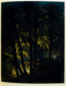 Illustrasjon av Dinet fra «Mirages» Scener fra arabisk liv. 1906. Mirages, Scenes De La Vie Arab ble illustrert av Etienne Dinet med kommentarer av Silman Ben Ibrahim Bamer. Nasreddine Dinet ble født som Alphonse-Etienne Dinet; (1861-1929) var fransk av Alphonse Etienne Dinet