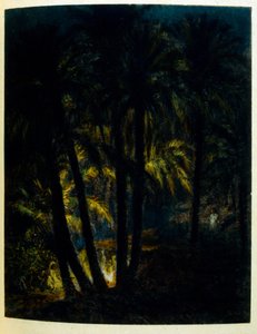 Illustrasjon av Dinet fra 