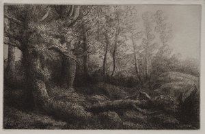 En skogstudie av Alphonse Legros