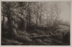 En skogstudie. av Alphonse Legros