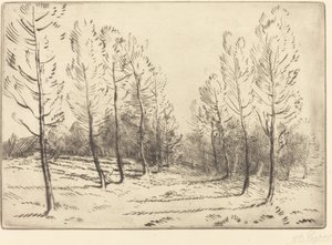 Avenue of Poplars Alley of Poplars. av Alphonse Legros