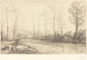 Birch Trees: Water's Edge Seen in Morning Light av Alphonse Legros