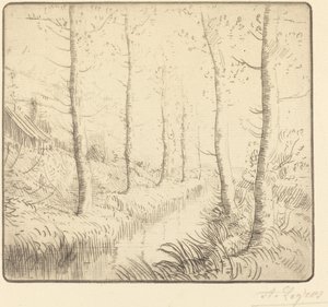 Bjørketrær langs vannet av Alphonse Legros