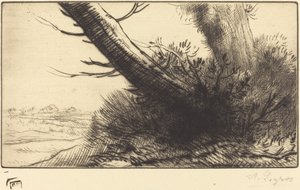 Hjørne av en sti På hjørnet av en sti. av Alphonse Legros