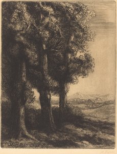 Corner of a Wood (Coin d