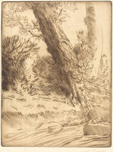 Kanten av en Brook Bord de ruisseau. av Alphonse Legros