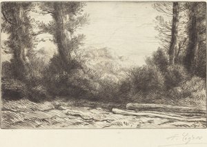 Edge of a Wood Lisiere de bois. av Alphonse Legros