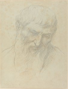 Hodet til en mann med krøllete hår og skjegg av Alphonse Legros