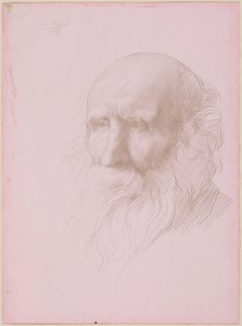 Hodestudie av en gammel mann av Alphonse Legros
