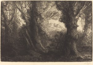 I Conteville-skogen (Dans la foret de Conteville) av Alphonse Legros