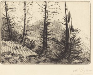 I Pyreneene I Pyreneene. av Alphonse Legros