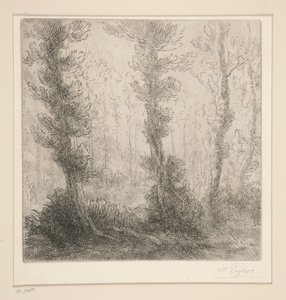 Den lille innsjøen av Alphonse Legros