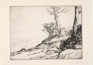 Børstehaugen av Alphonse Legros