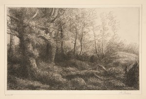 skogkanten av Alphonse Legros