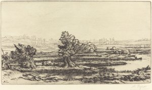 Torvmyrer (Les Tourbieres) av Alphonse Legros