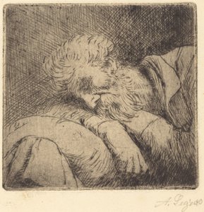 Sovende tigger av Alphonse Legros