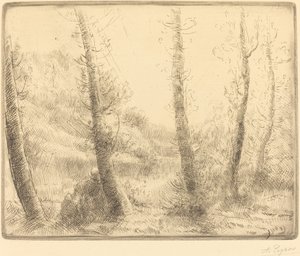 Liten innsjø Den lille innsjøen. av Alphonse Legros