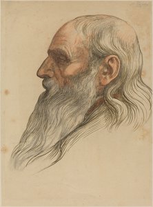 Studie av en manns hode med helskjegg av Alphonse Legros