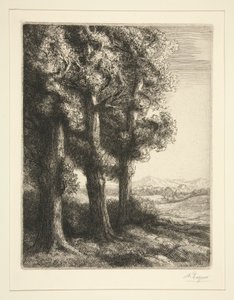 Tre trær av Alphonse Legros