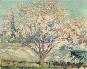 Almond Tree in Blossom (olje på lerret)