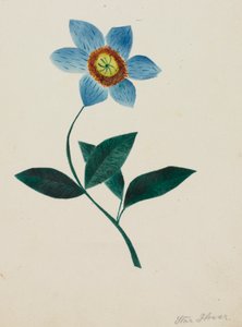  av Altha Mary Nims
