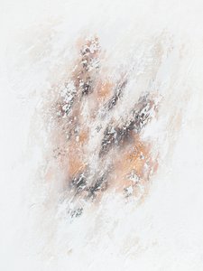  av Alyson Storms