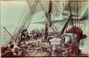 Oppdaget Louisiana av Louis Antoine, greve av Bougainville (1729-1811)