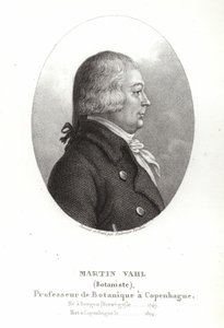 Martin Vahl av Ambroise Tardieu