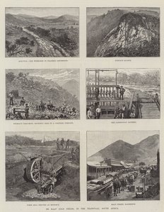 Cape Gold Fields, i Transvaal, Sør-Afrika
