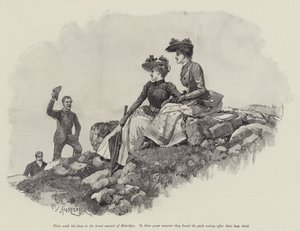 Peer og arving, av Walter Besant
