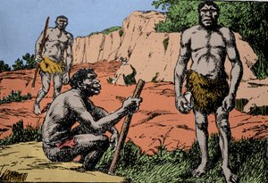 Forhistorie: representasjon av Homo rhodesiensis eller mannen fra Broken hill, stamfar til Homo sapiens, hvis fossiler ble oppdaget i Rhodesia (dagens Zambia i Afrika). Tegning av A. Forestier. DR