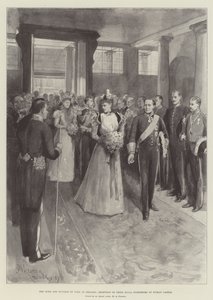 Hertugen og hertuginnen av York i Irland, mottakelse av deres kongelige høyheter på Dublin Castle