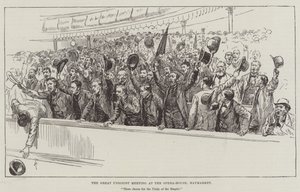 Det store unionistmøtet i Operahuset, Haymarket