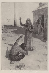 The Mermaid of Lighthouse Point, av Bret Harte