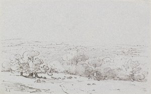 Carriage Approach to Bromley Hill, ca. 1803 (etsing)