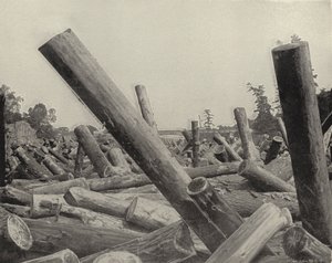 A Log Jam i St Croix River, Wisconsin (s/hvitt bilde) av American Photographer (after)