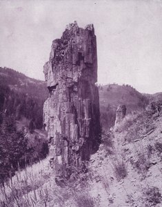 Et forsteinet tre i de dårlige landene i Dakota (s/hv-bilde) av American Photographer (after)