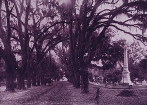 Bonaventure Cemetery, Savannah, Georgia (s/hvitt bilde) av American Photographer (after)