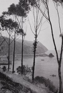 California: Bay of Avalon, Santa Catalina Island, magisk lekeland ved Stillehavet 30 miles fra det sørlige California fastlandet (s/hv-bilde) av American Photographer (after)