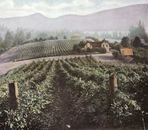 Oregon: Diversifisert jordbruk i Willamette Valley (bilde) av American Photographer (after)