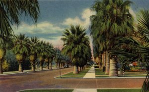 Phoenix, Arizona: North Central Avenue (bilde) av American Photographer (after)