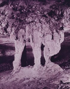 Brudealteret, Mammoth Cave (s/hvitt bilde) av American Photographer (after)