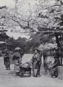 Under kirsebærblomsten i Shiba Park, Tokio (s/hvitt bilde) av American Photographer (after)