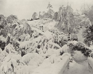 Vinterløvverk på Luna Island (s/hvitt bilde) av American Photographer (after)