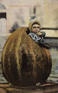 Et eksemplar av California-gresskar (tonet bilde) av American Photographer