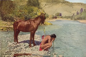 Apache Warrior, Rio Navaho, Arizona (farget bilde)
