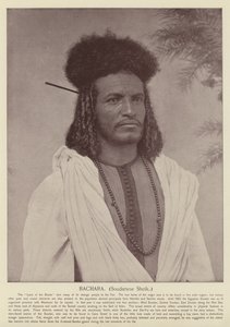 Bachara, sudanesisk sjeik